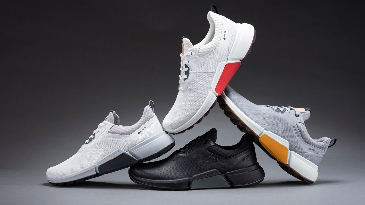 ecco biom h4
