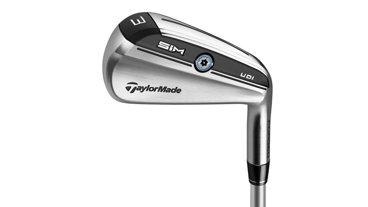 TaylorMade SIM UDI Eisen