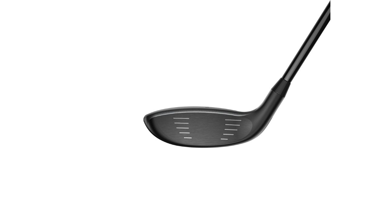 Cobra AIR-X Fairwayholz<br>(Foto: Cobra)