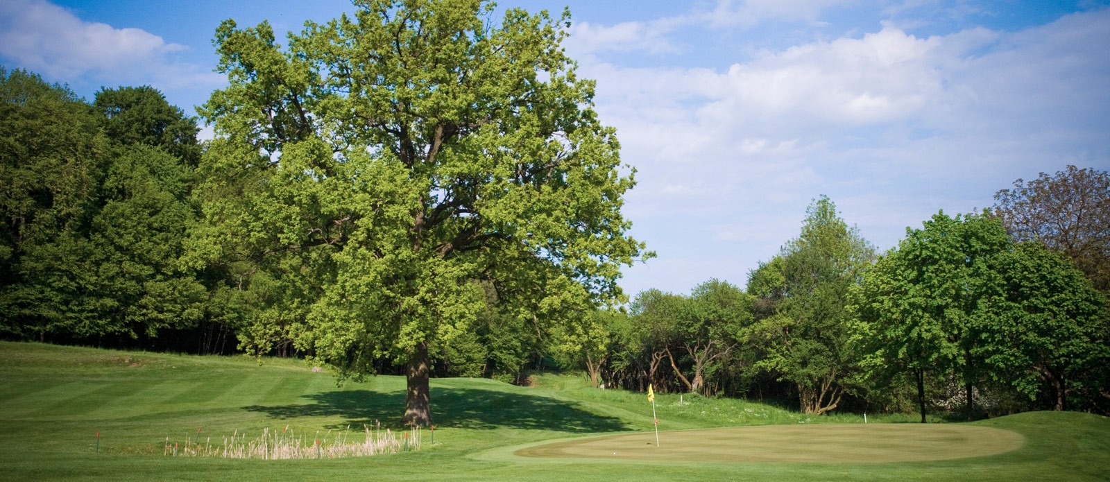 Impressionen Golfclub St. Pölten (Foto: Golfclub St. Pölten)