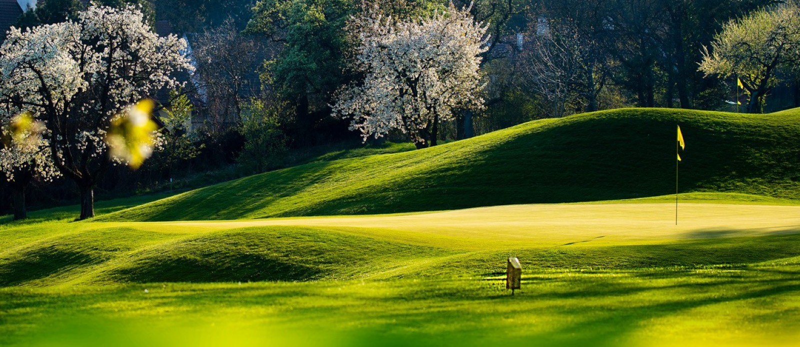 Impressionen Golfclub St. Pölten (Foto: Golfclub St. Pölten)
