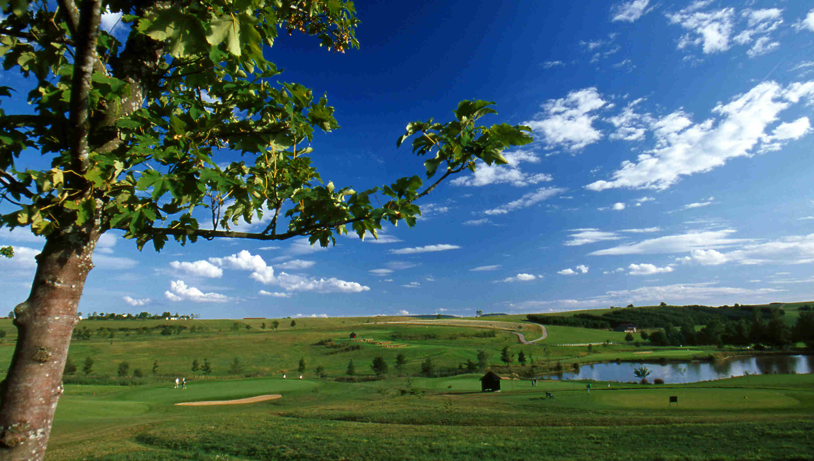 Wenige Höhenunterschiede ermöglichen ein angenehmes Spiel. (Foto:GC Öschberghof)