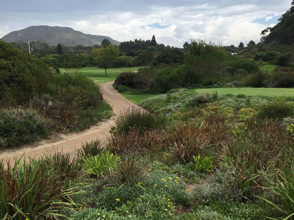 Die Flora und Fauna auf und um den Platz herum ist bei jedem Wetter einen Blick wert (Foto: Golf Post)