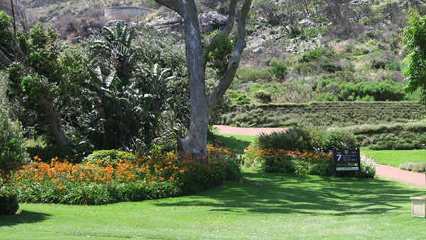 Clovelly Country Club (Foto: Clovelly Country Club)