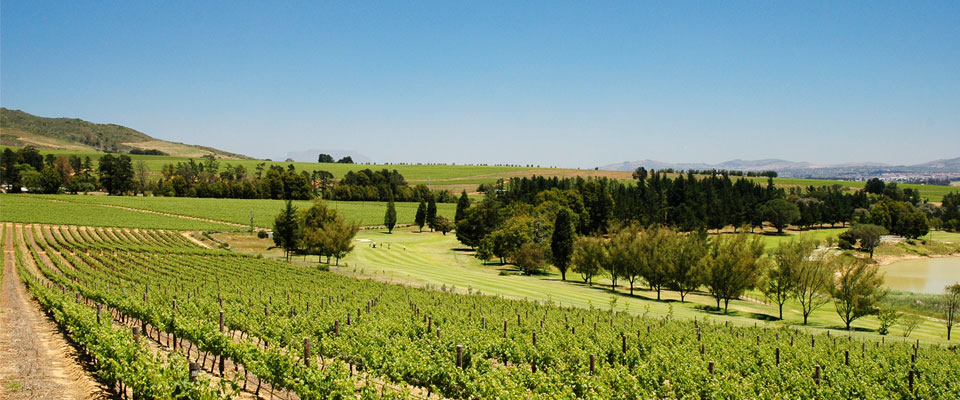 Devonvale Golf & Wine Estate