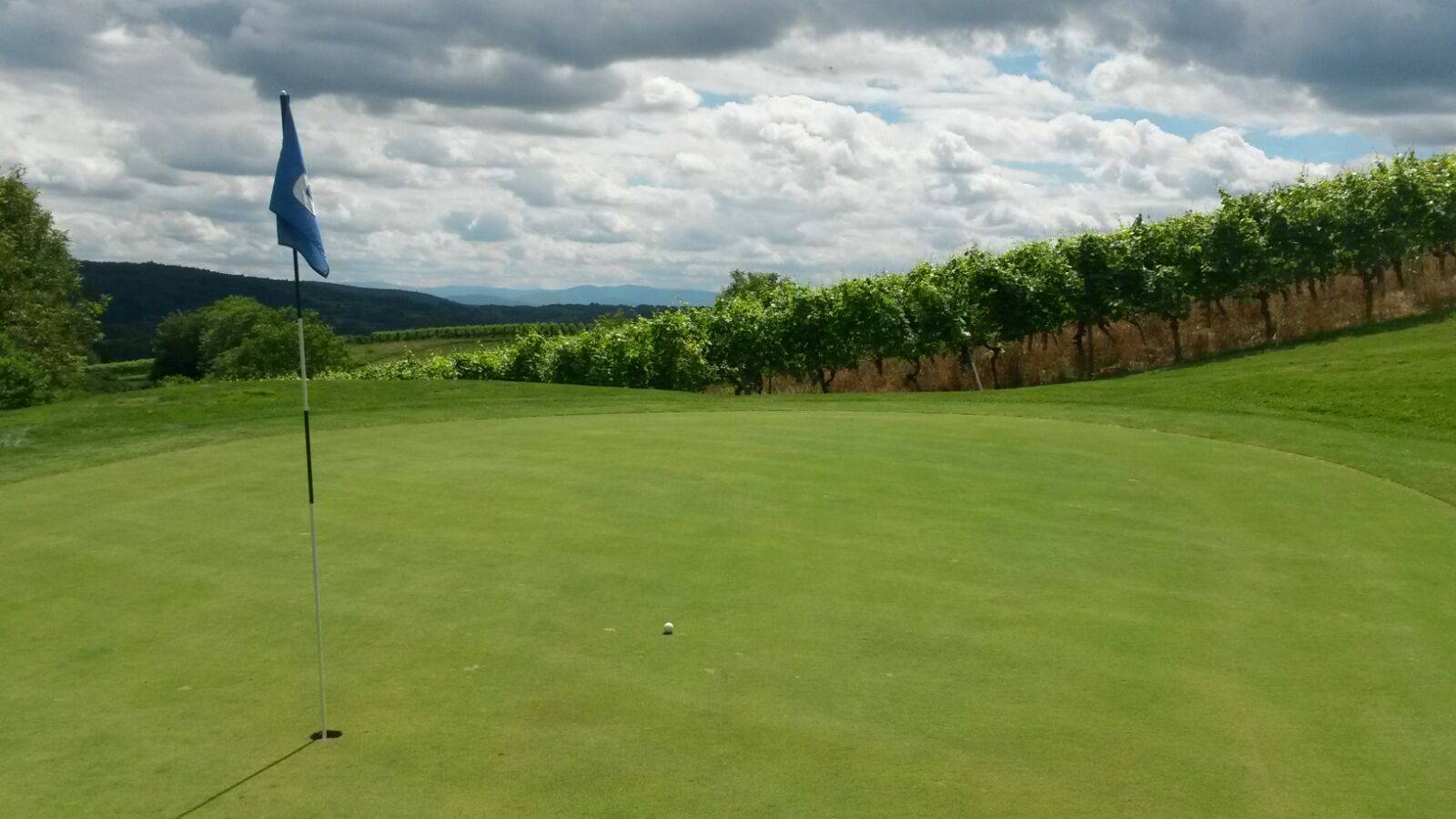 Ausblick Bahn 8 des 9-Loch-Platzes "Heckenrose": Golf spielen in den Weinbergen. (Foto: Golf Post)