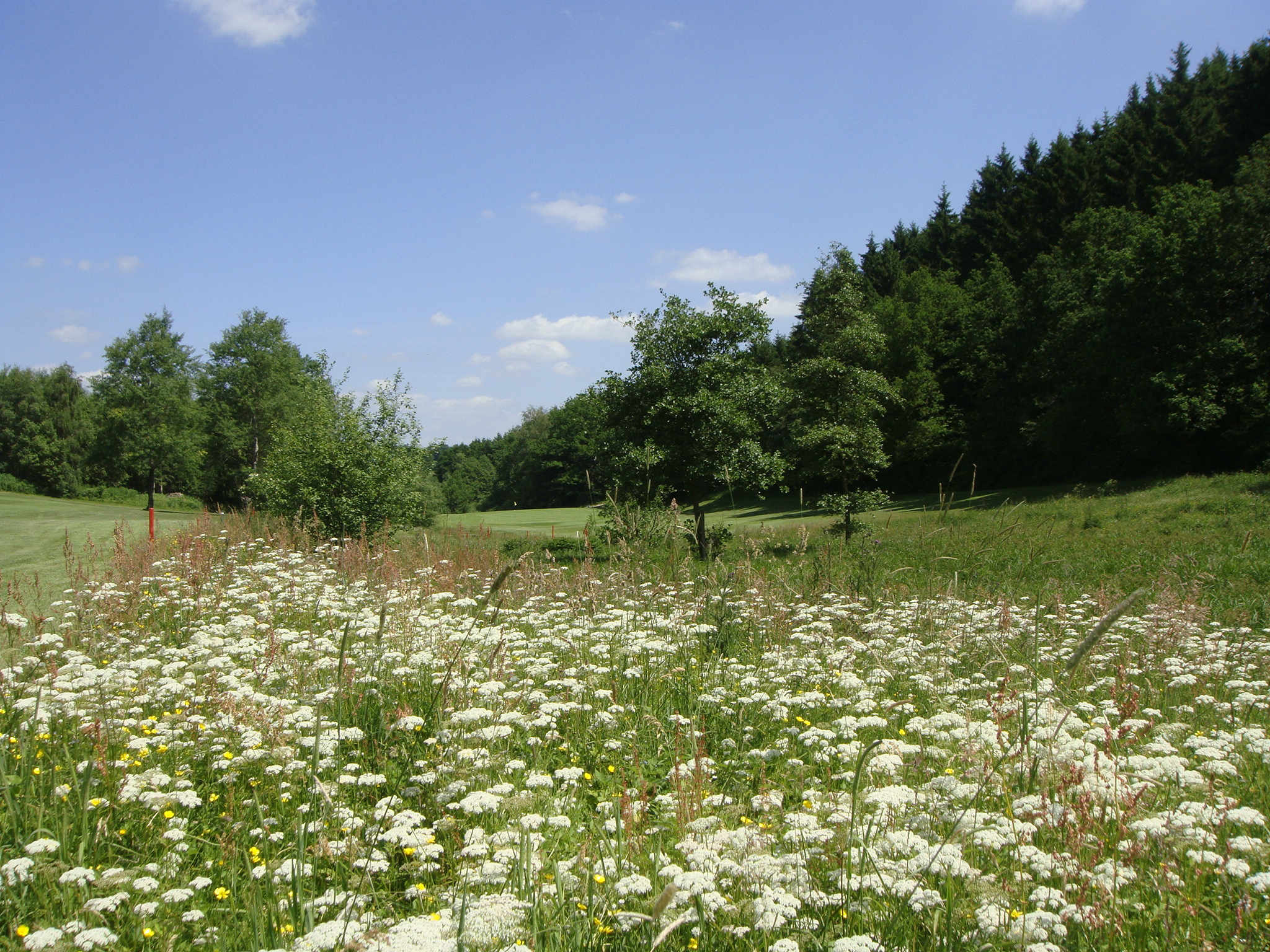 Impressionen des GC Siegen-Olpe (Foto: GC Siegen-Olpe)