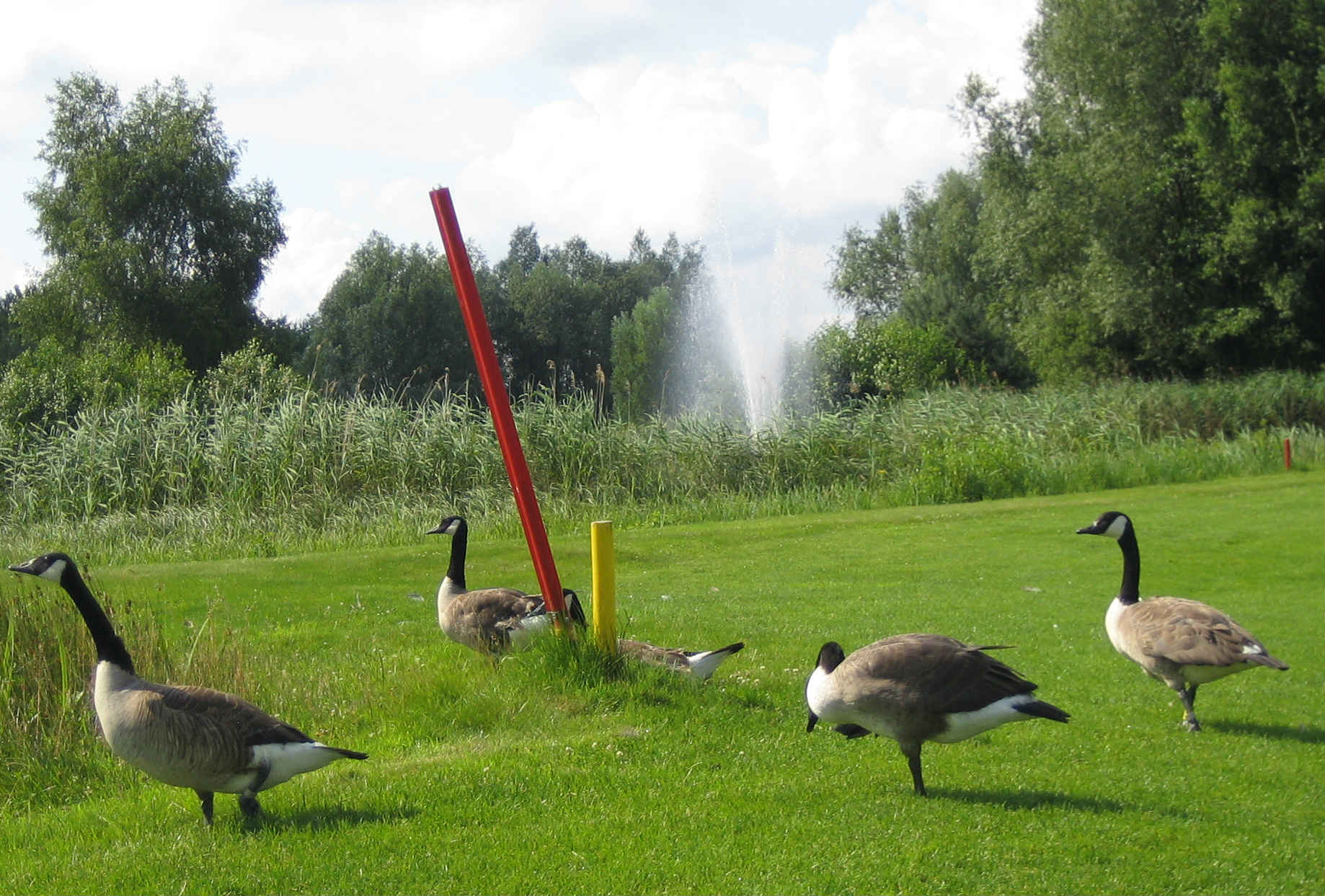 Natur pur an der Bahn 8. (Foto: GC Grevenmühle)