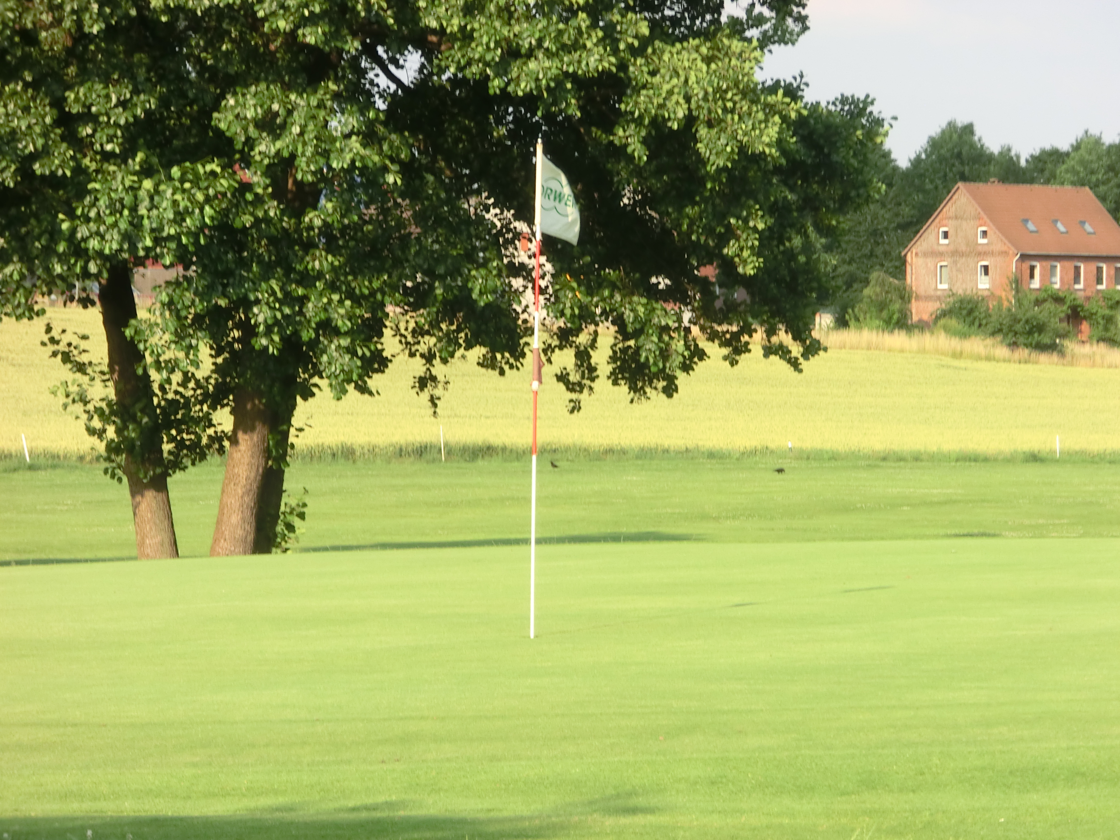 Der Hamelner Golfclub Schloss Schwöbber bietet seinen Besuchern viel Ruhe und wunderschöne Natur. (Quelle: Hamelner Golfclub Schloss Schwöbber)