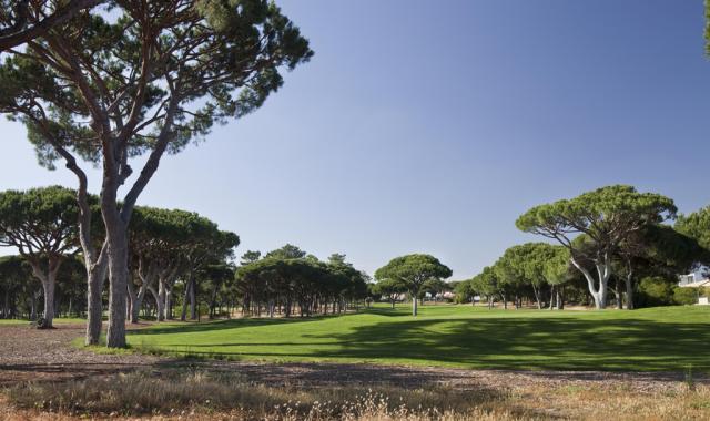 Oceânico Pinhal Golf Course (Foto: Oceânico Pinhal Golf Course)