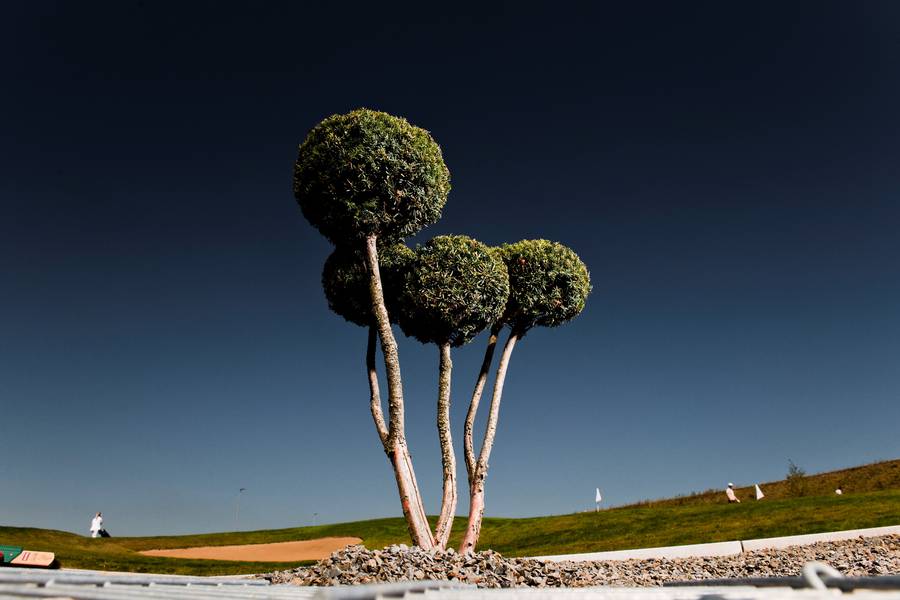 Impressionen des Kölner Golfclubs. (Foto: Kölner Golfclub)