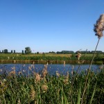 Die idyllische Heimatanlage der Wallgang