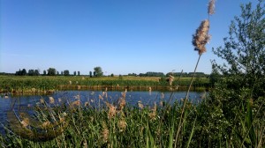 Die idyllische Heimatanlage der Wallgang