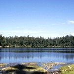 Golfplätze im Schwarzwald