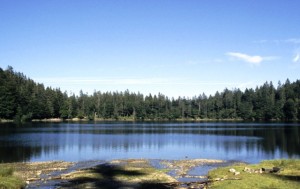 Golfplätze im Schwarzwald
