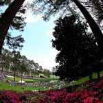 Augusta National GC