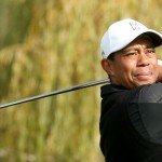 Tiger Woods bei der Northwestern Mutual World Challenge 2013.
