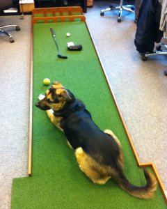 Nicht nur Golfer finden Gefallen an einem Putt-Board