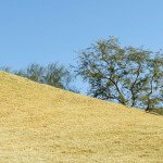 Egal, in welcher Lage sie dem Ball gegenüberstehen, wir haben für jede Situation die richtigen Tipps. (Foto: Getty)