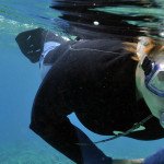 Golfballtaucher sorgen nicht nur dafür, dass die Bälle wieder an die Oberfläche kommen, sie halten mit ihrer Arbeit auch das Ökosystem im Gleichgewicht.
