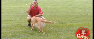 In dieser neuen Folge "Verstehen Sie Spass?" treibt ein Golden Retriever sein Unwesen und damit einige Golfspieler in den Wahnsinn.