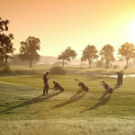 Schloss Lüdersburg bei Hamburg ist eine der zahlreichen Partneranlagen und gleichzeitig der Sitz der DGM Deutsche Golf Marketing GmbH. (Foto: Schloss Lüdersburg)