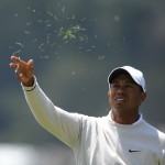 Tiger Woods prüft die Windrichtung mit einigen Grashalmen. (Foto: Getty)