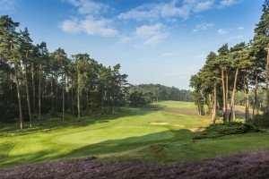 Die Golfregion Hamburg - Eine der attraktivsten Golfdestinationen Europas (Foto: Golfregio Hamburg)