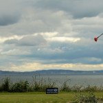 Rickie Fowler leuchtet in orange vor grauem Hintergrund in Schottland (Foto: Getty)