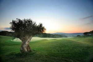 Der "The Dunes Course" an der Costa Navarino in Griechenland, Loch 7. (Foto: Flickr/Costanavarino)