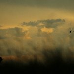 PGA Championship Runde zwei Liveticker