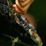 Die richtige Passform ist beim Golfschuh ist das A und O (Foto: getty)