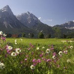 Golf Alpin bedeutet Golfspielen auf saftigen Fairways, hervorragend gepflegten Grüns und paradiesischen Naturlandschaften. (Foto: Paul Severn)