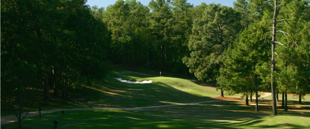 Ein Spalier aus Bäumen weist den Weg zum Grün auf dem Palmetto Golf Club Loch 7. (Foto: Getty)