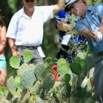 Bei der Valero Texas Open sind oftmals stachelige Hindernisse im Weg. (Foto: Getty)