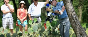 Bei der Valero Texas Open sind oftmals stachelige Hindernisse im Weg. (Foto: Getty)