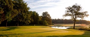 Der Schloss-Platz hat alles, was ein Weltklasse-Golfplatz bieten muss. (Foto: Hotel- und Sportresort Fleesensee)