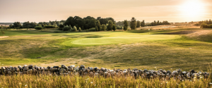 Golfen, Wellness und viele weitere attraktive Freizeitmöglichkeiten – Ein Urlaub hier lässt keine Wünsche offen. (Foto: Hotel- und Sportresort Fleesensee)