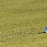 Den Golfball mittels Line Up markieren für eine höhere Putt-Garantie. Hilft das wirklich? (Foto: Getty)