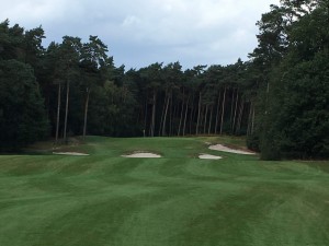 Unstete und ondulierte Bahnen machen den G&CC Herkenbosch zu einem anspruchsvollen und spannenden Platz. (Foto: Golf Post)