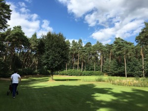 Wenn im Mai-Juli die Alpenrosen blühen, erleben Sie hier ihr ganz persönliches Augusta. (Foto: Golf Post)