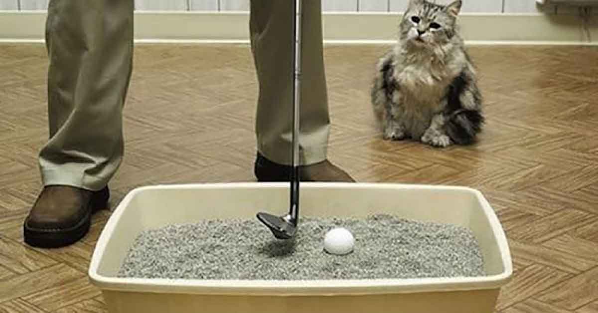 Chippen Indoor So Chippen Sie Sich Im Wohnzimmer Heiss Fur Die Saison