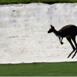 Im Lake Karrinyup Country Club wird es beim Finale des World Super 6 Perth nochmal besonders spannend, denn Matchplay ist angesagt. (Foto: Getty)