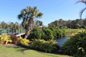 Die Walt Disney Golfplätze stechen in der Fülle an Plätzen in Orlando nochmal besonders heraus. (Foto: Golf Post)