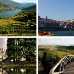 (Foto: Fortunatus Immobilien)