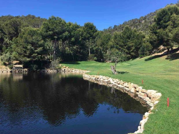 Danke neuem Greenkeeping-Team und umfassenden Platzarbeiten spielt Golf de Andratx wieder in der obersten Liga auf Mallorca mit. (Foto: Golf Post)