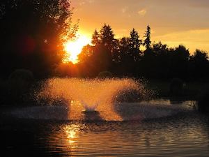 Der Golfplatz Eschenhof lädt zum Golf spielen ein (Foto: Facebook.com/Münchner Golf Eschenried)