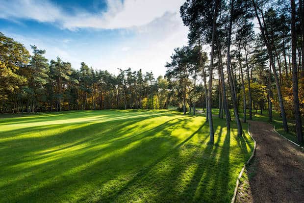 Ein wunderschönes Lichtspiel auf den Fairways und Grüns des Frankfurter Golf Clubs. Foto: Frankfurter Golf Club