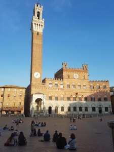 Piazza del Campo in Siena. (Foto: Anna Kitze)