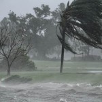 Back Nine Golfstars fliehen vor Hurrikan Irma